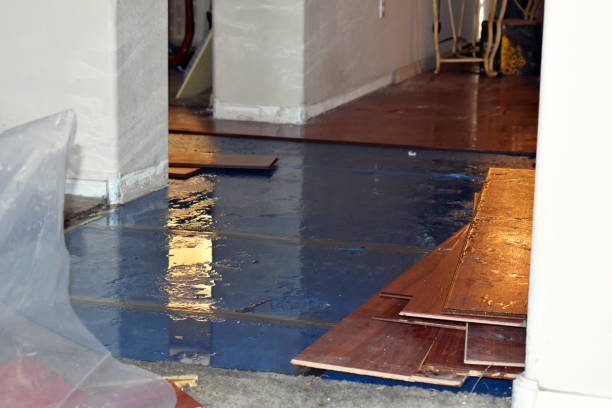 Professional Basement Flood Cleanup technician working in Randleman, NC